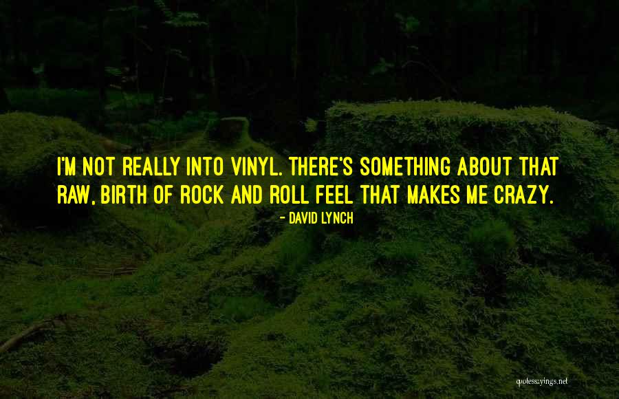 Boisseau De Cheminee Quotes By David Lynch Boisseau De Cheminee Quotes By David Lynch