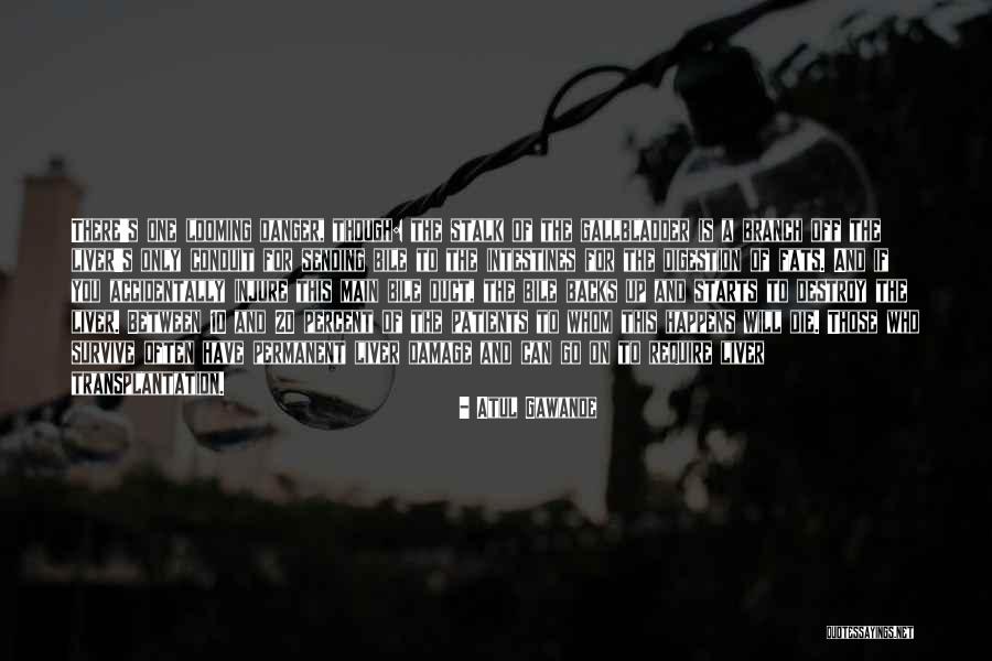 Boisson In English Quotes By Atul Gawande Boisson In English Quotes By Atul Gawande