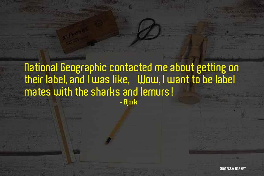 Boissonneault Bar Quotes By Bjork Boissonneault Bar Quotes By Bjork