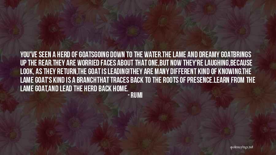 Boissonneault Pi Ces Quotes By Rumi Boissonneault Pi Ces Quotes By Rumi