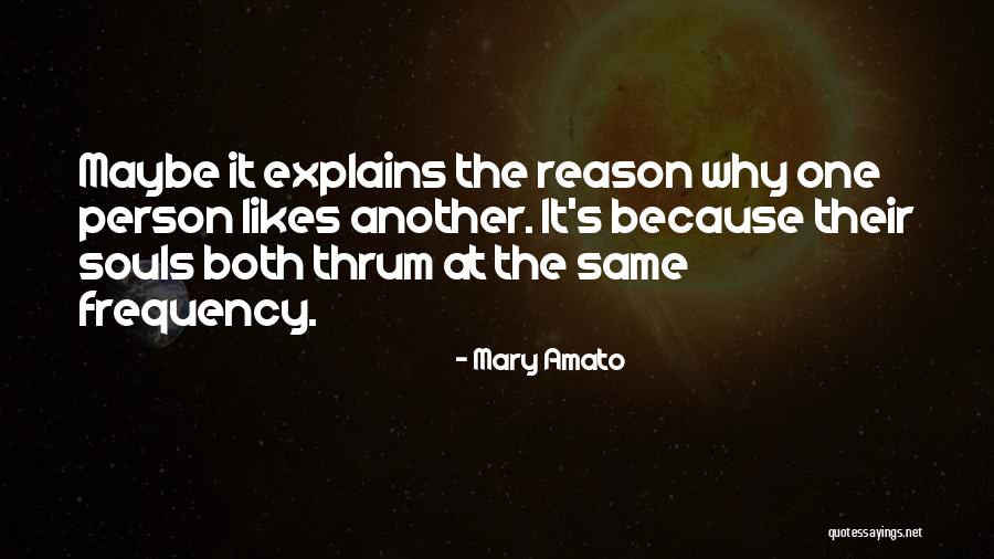 Boitier Iptv Quotes By Mary Amato Boitier Iptv Quotes By Mary Amato