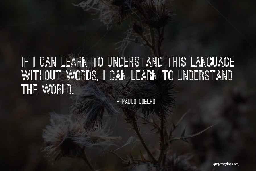 Bojama Novakovic Quotes By Paulo Coelho Bojama Novakovic Quotes By Paulo Coelho