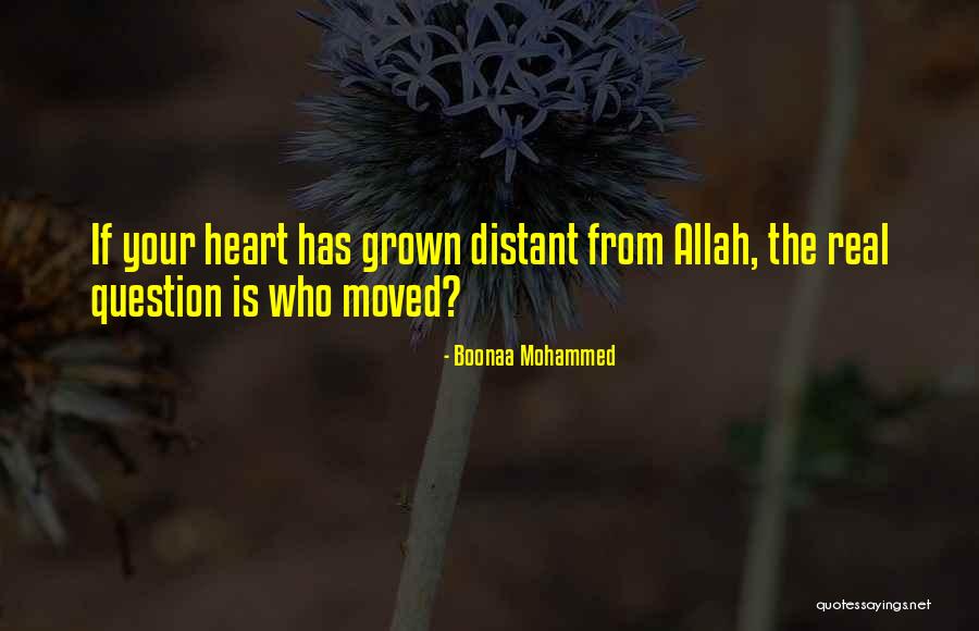Bojanic Glumica Quotes By Boonaa Mohammed Bojanic Glumica Quotes By Boonaa Mohammed