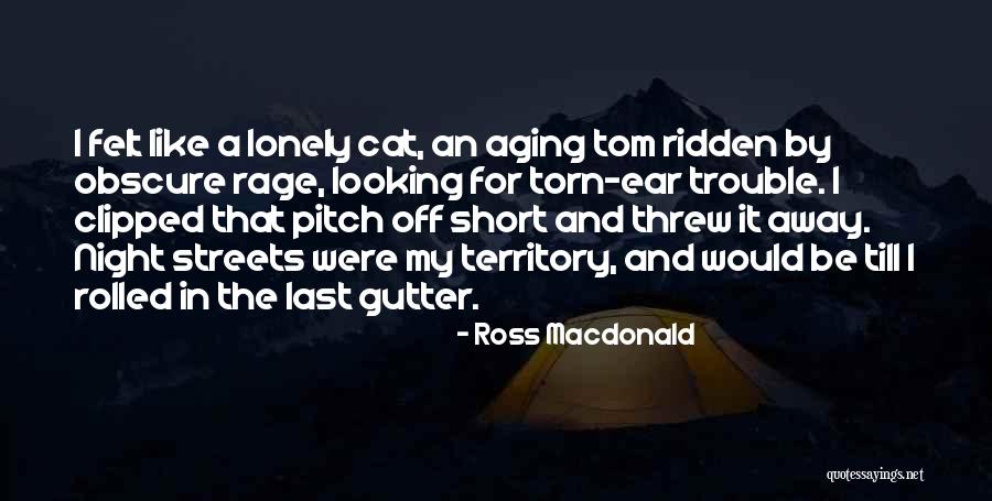 Bojer Seat Quotes By Ross Macdonald Bojer Seat Quotes By Ross Macdonald