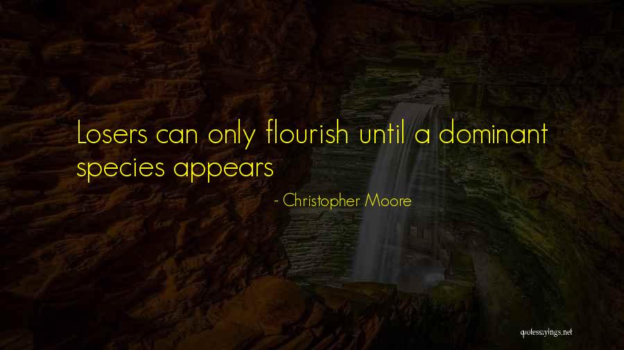 Bojudo Quotes By Christopher Moore Bojudo Quotes By Christopher Moore