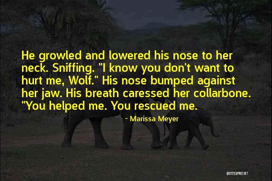 Bokem Muda Quotes By Marissa Meyer Bokem Muda Quotes By Marissa Meyer