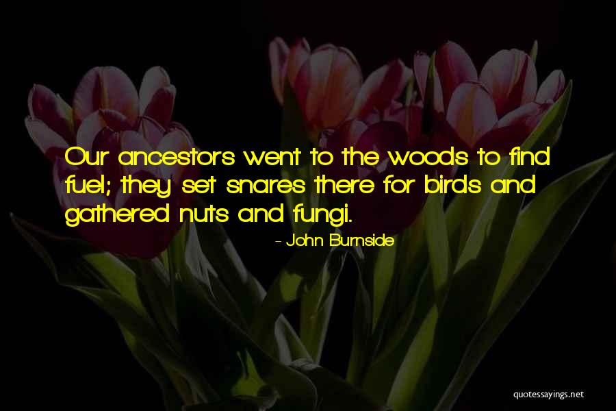 Bokoharam Quotes By John Burnside Bokoharam Quotes By John Burnside