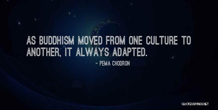 Boktan Dunya Quotes By Pema Chodron Boktan Dunya Quotes By Pema Chodron