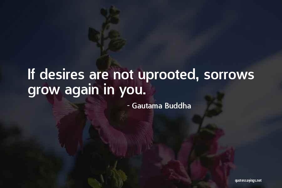 Bokyna Quotes By Gautama Buddha Bokyna Quotes By Gautama Buddha