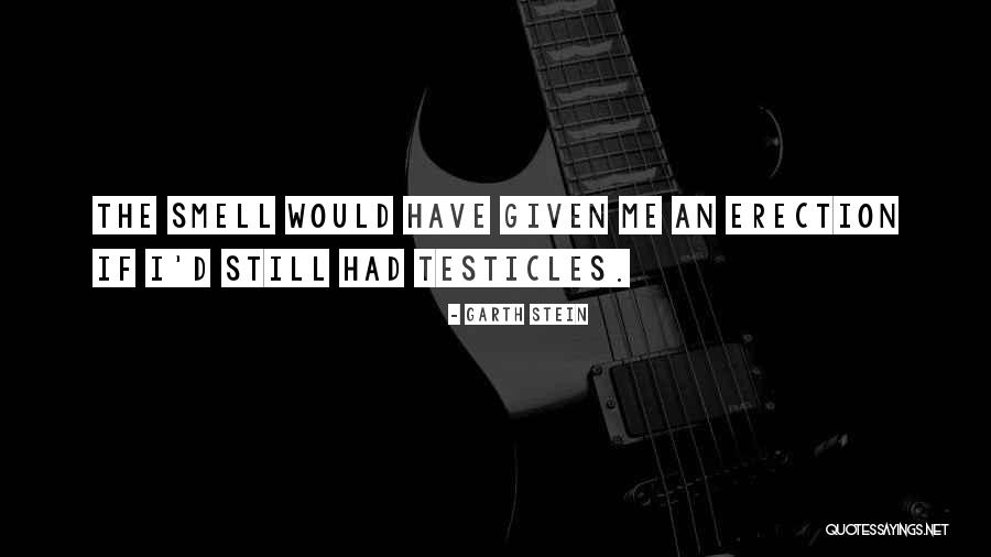 Bolans Quotes By Garth Stein Bolans Quotes By Garth Stein