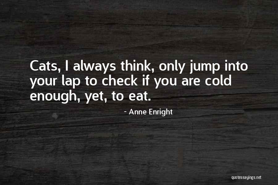 Bold Kw Quotes By Anne Enright Bold Kw Quotes By Anne Enright