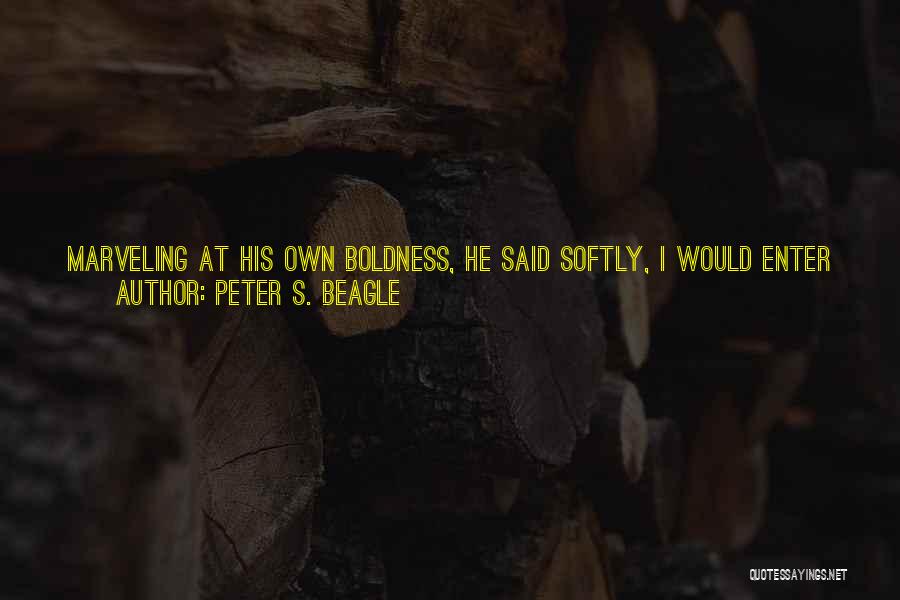 Boldness Quotes By Peter S. Beagle