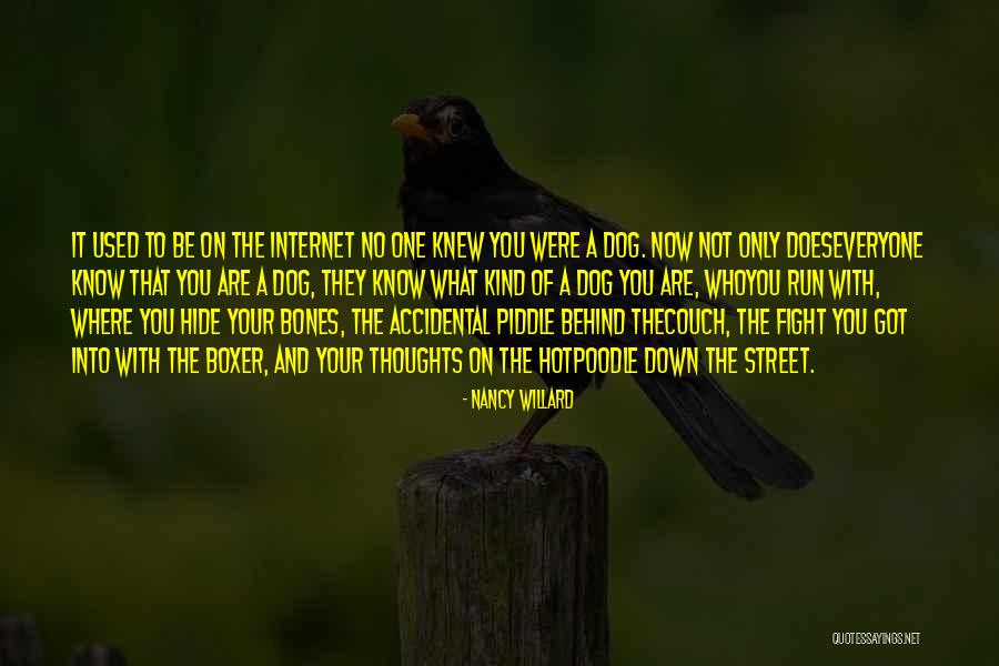 Bolitar Myron Quotes By Nancy Willard Bolitar Myron Quotes By Nancy Willard