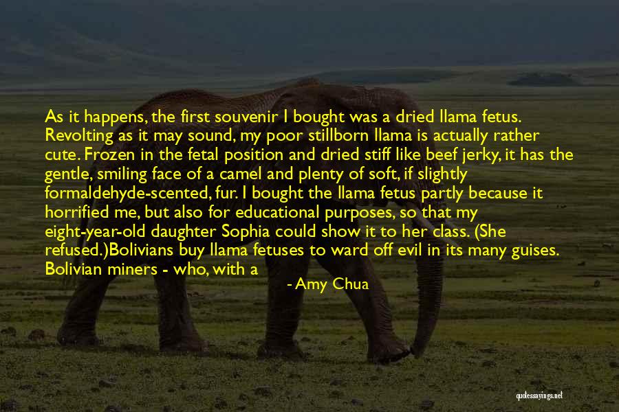 Bolivian Quotes By Amy Chua Bolivian Quotes By Amy Chua