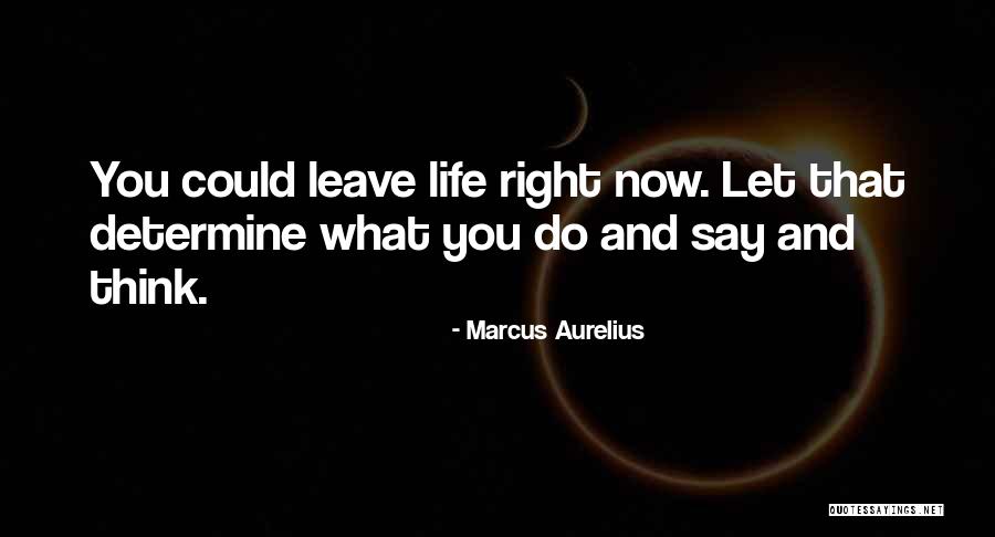 Bollas Marinas Quotes By Marcus Aurelius Bollas Marinas Quotes By Marcus Aurelius