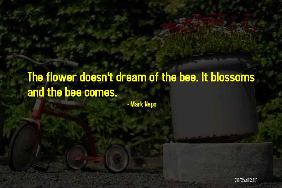 Bolognesi Noticias Quotes By Mark Nepo Bolognesi Noticias Quotes By Mark Nepo
