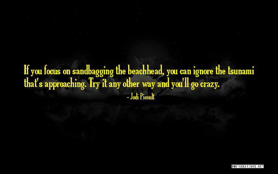 Boloori Quotes By Jodi Picoult Boloori Quotes By Jodi Picoult