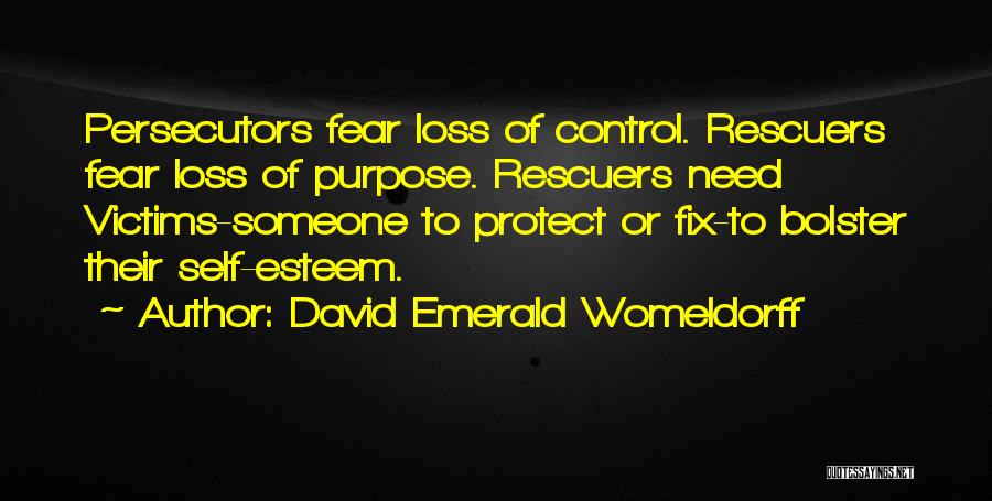 Bolster Quotes By David Emerald Womeldorff