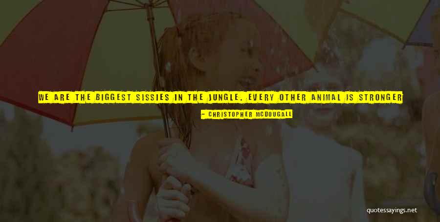 Bolt Quotes By Christopher McDougall Bolt Quotes By Christopher McDougall