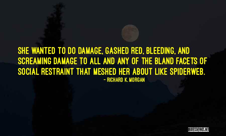 Boltenhagen Strandpromenade Quotes By Richard K. Morgan Boltenhagen Strandpromenade Quotes By Richard K. Morgan