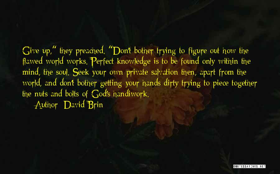 Bolts And Nuts Quotes By David Brin