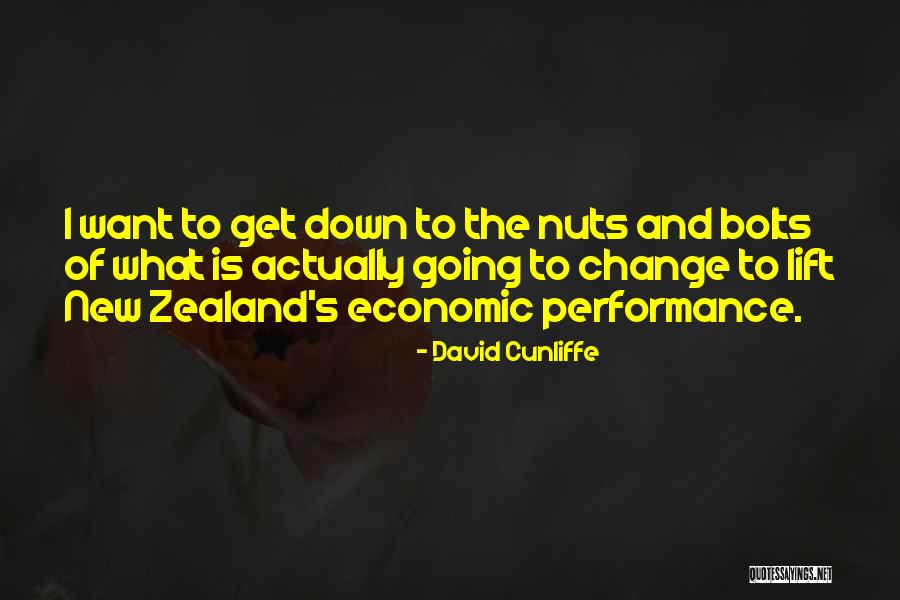 Bolts And Nuts Quotes By David Cunliffe