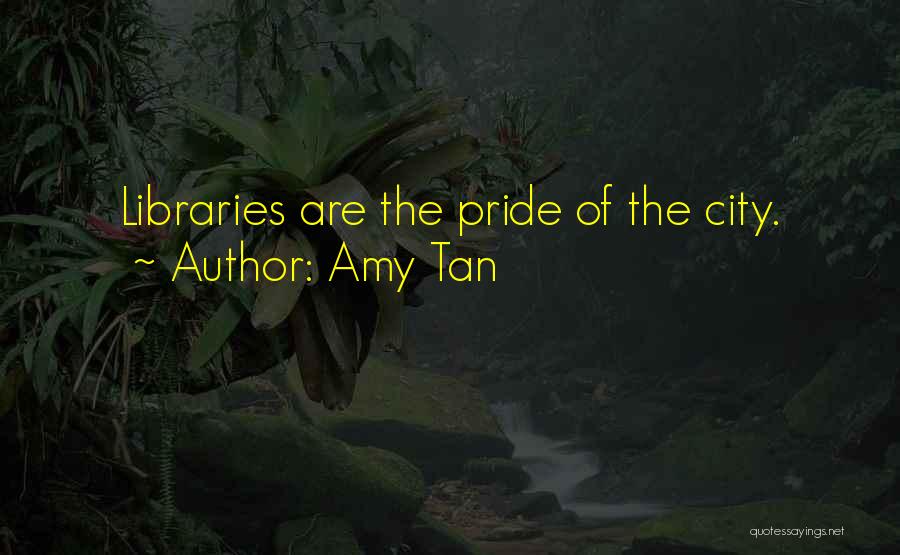 Bolzan Quotes By Amy Tan