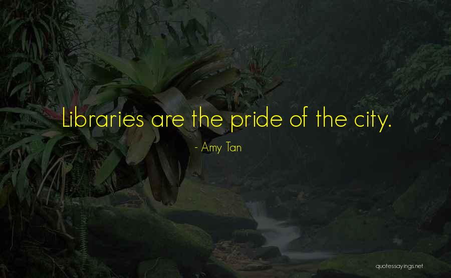 Bolzan Quotes By Amy Tan Bolzan Quotes By Amy Tan
