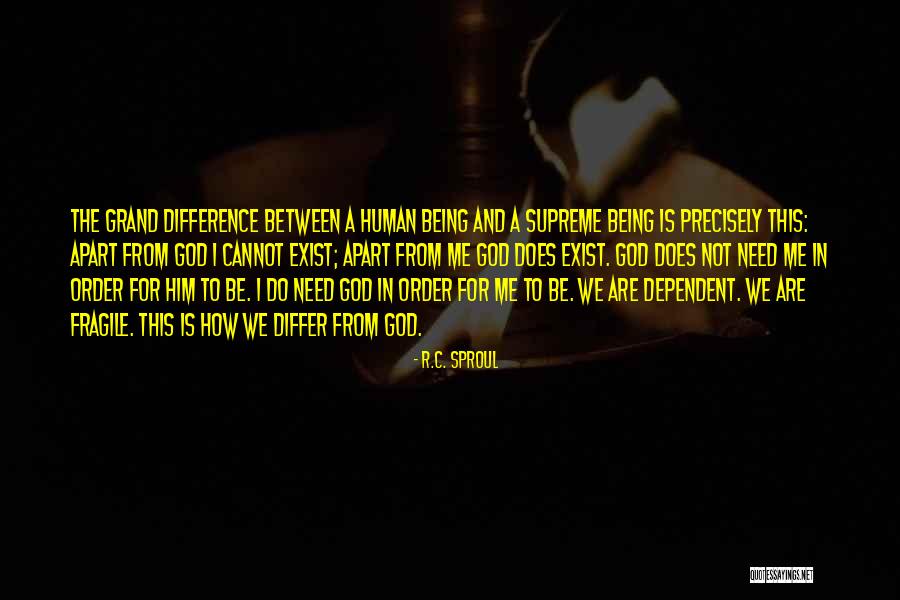 Bomann Electromenager Quotes By R.C. Sproul Bomann Electromenager Quotes By R.C. Sproul