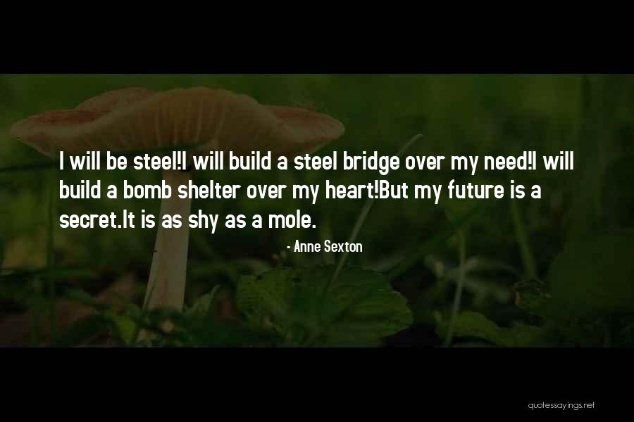 Bomb Shelter Quotes By Anne Sexton Bomb Shelter Quotes By Anne Sexton