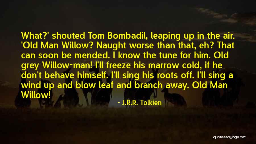 Bombadil Quotes By J.R.R. Tolkien