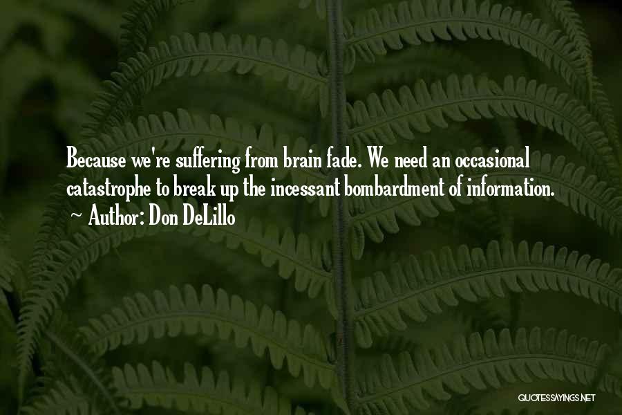 Bombardment Quotes By Don DeLillo