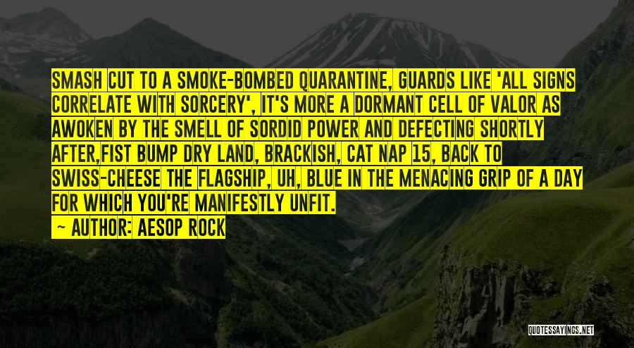 Bombed Rock Quotes By Aesop Rock