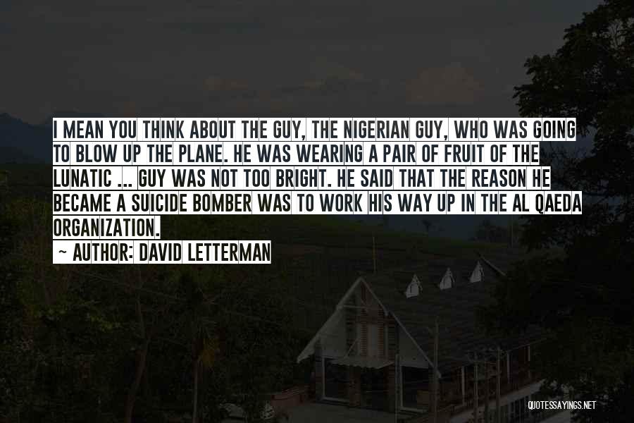 Bomber Plane Quotes By David Letterman