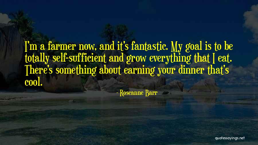Bombilla Para Quotes By Roseanne Barr Bombilla Para Quotes By Roseanne Barr