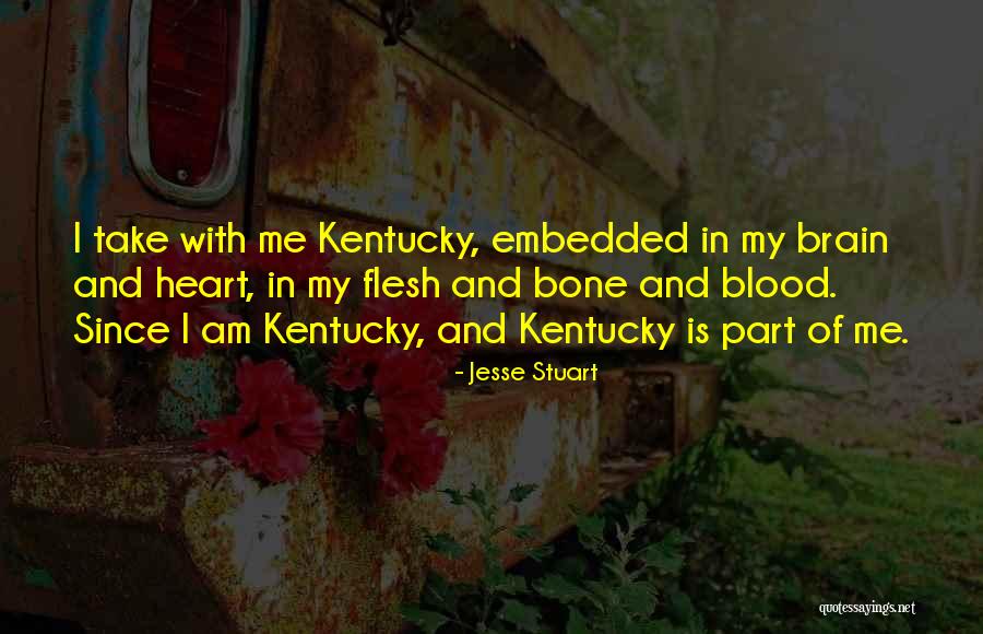 Bombillas Colgantes Quotes By Jesse Stuart Bombillas Colgantes Quotes By Jesse Stuart