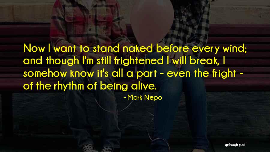 Bombini Edmonton Quotes By Mark Nepo Bombini Edmonton Quotes By Mark Nepo