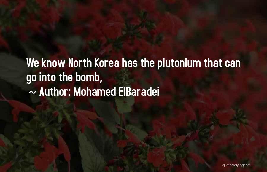 Bombs Quotes By Mohamed ElBaradei