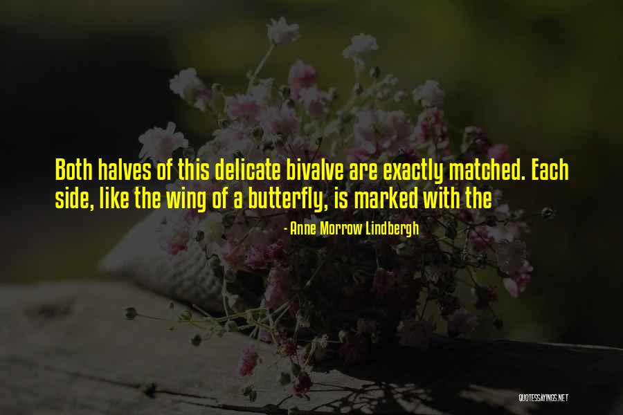 Bompard Collection Quotes By Anne Morrow Lindbergh Bompard Collection Quotes By Anne Morrow Lindbergh