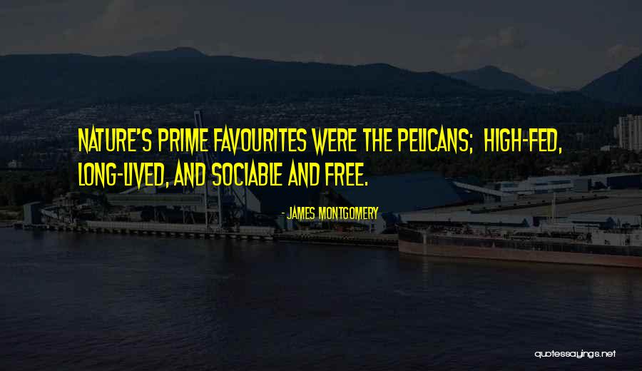 Bonacchi Badesco Quotes By James Montgomery Bonacchi Badesco Quotes By James Montgomery