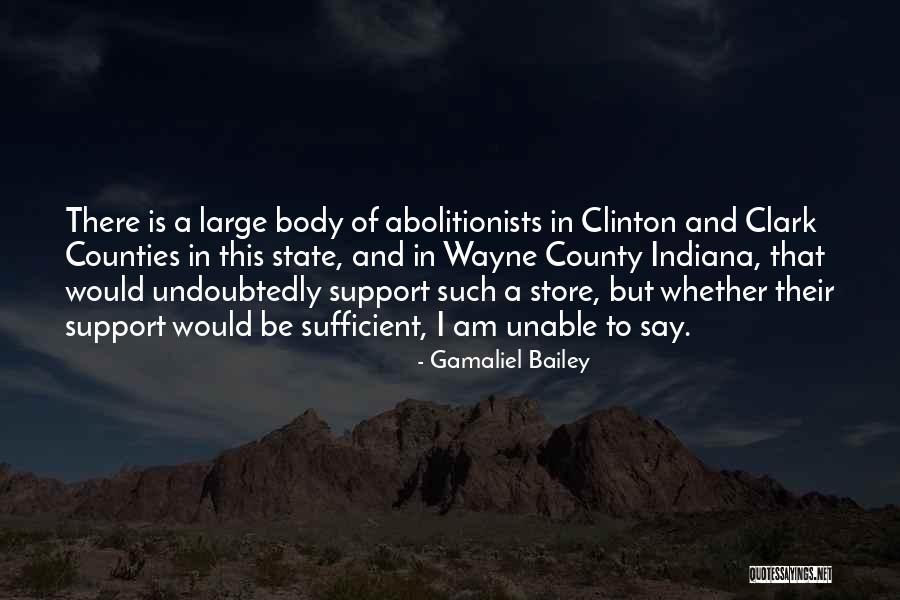 Bonacchi Wine Quotes By Gamaliel Bailey Bonacchi Wine Quotes By Gamaliel Bailey