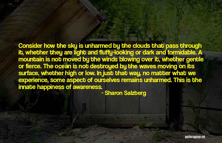 Bonacini Italian Quotes By Sharon Salzberg Bonacini Italian Quotes By Sharon Salzberg