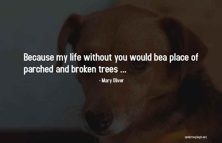Bonacio Quotes By Mary Oliver Bonacio Quotes By Mary Oliver