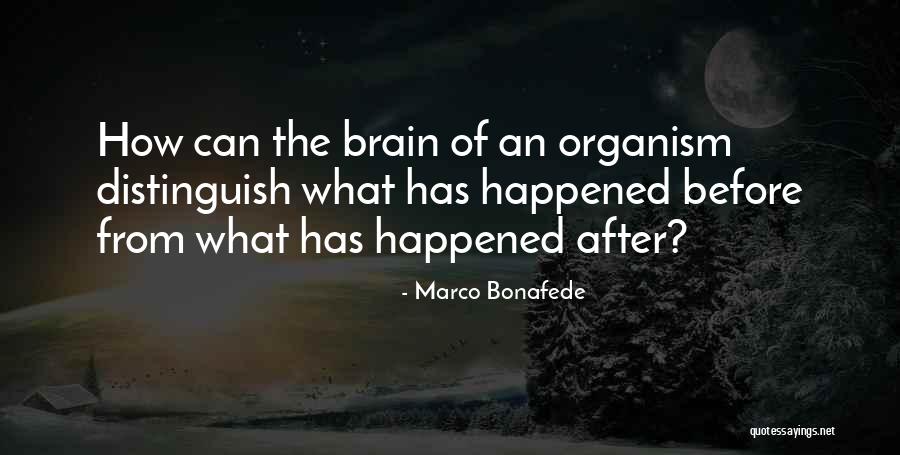 Bonafede Quotes By Marco Bonafede Bonafede Quotes By Marco Bonafede
