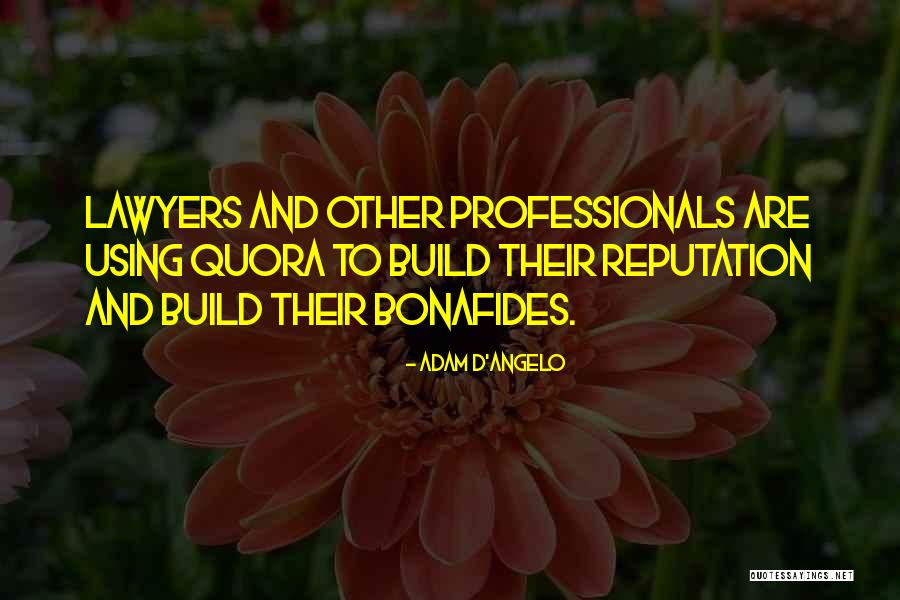 Bonafides Quotes By Adam D'Angelo Bonafides Quotes By Adam D'Angelo