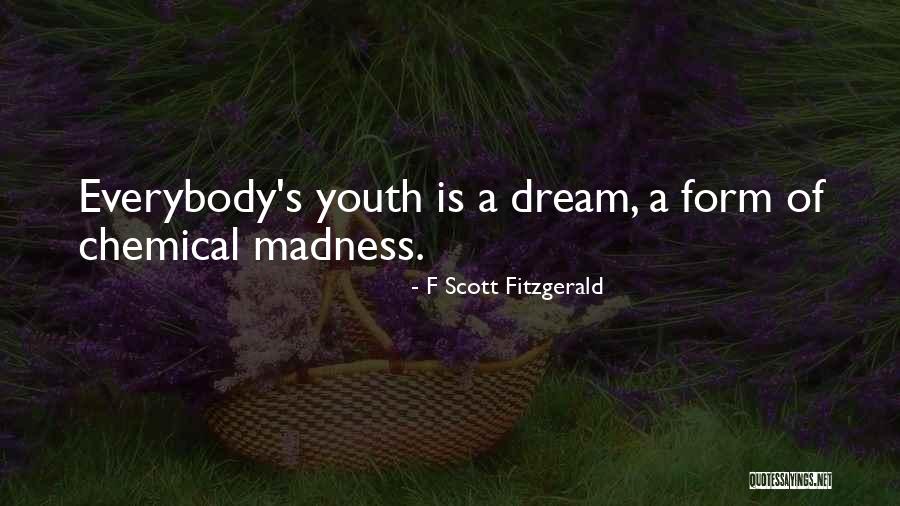 Bonanza Little Joe Quotes By F Scott Fitzgerald