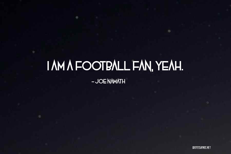 Bonanza Little Joe Quotes By Joe Namath