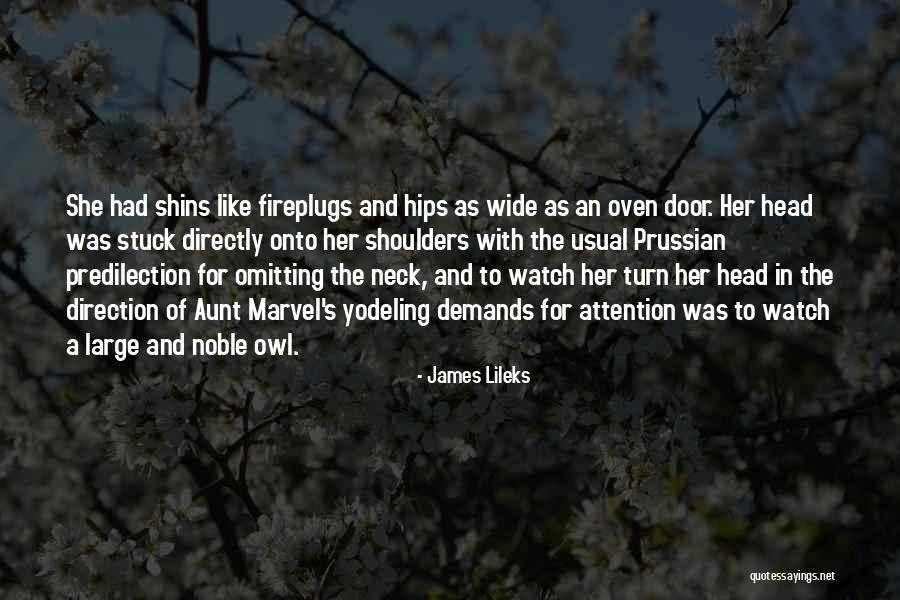 Bonarigo Benjamin Quotes By James Lileks