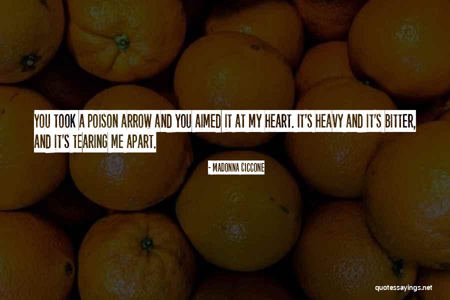 Bonarigo Mccutcheon Quotes By Madonna Ciccone Bonarigo Mccutcheon Quotes By Madonna Ciccone
