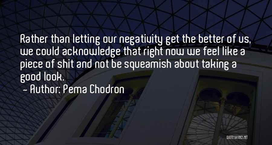 Bond Between Brothers And Sisters Quotes By Pema Chodron